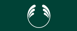 the body shop coupon code